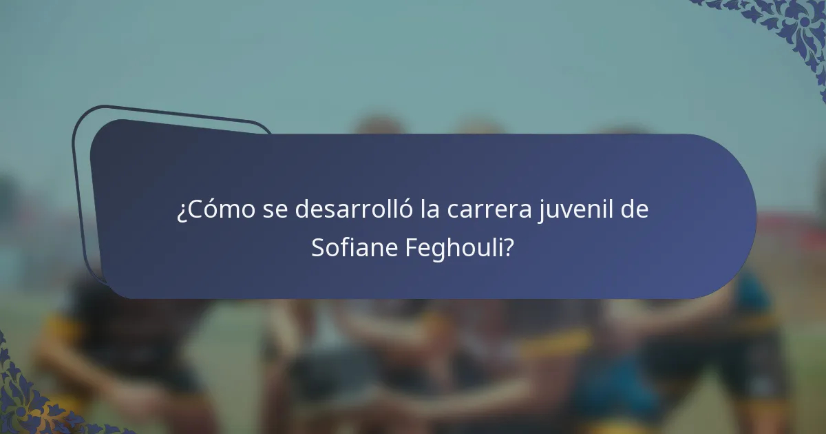 ¿Cómo se desarrolló la carrera juvenil de Sofiane Feghouli?